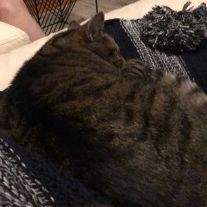 Meet your Posher, Marissa